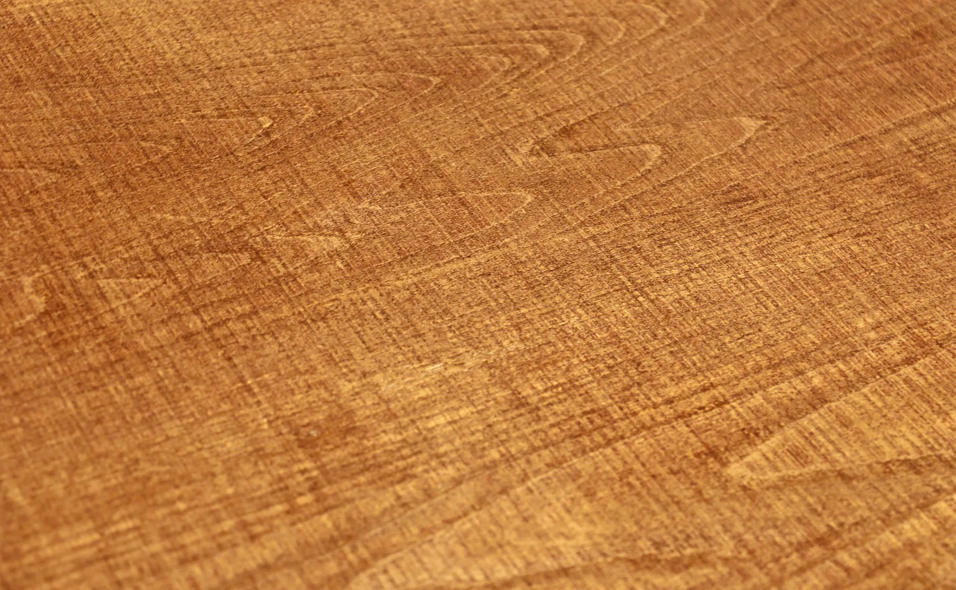 赤坂 花のれん 花楽 Table 04